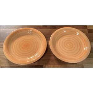 Set of 2 Citrus Grove Brush Stroke Swirl Orange Dinner Plates 10 7/8"